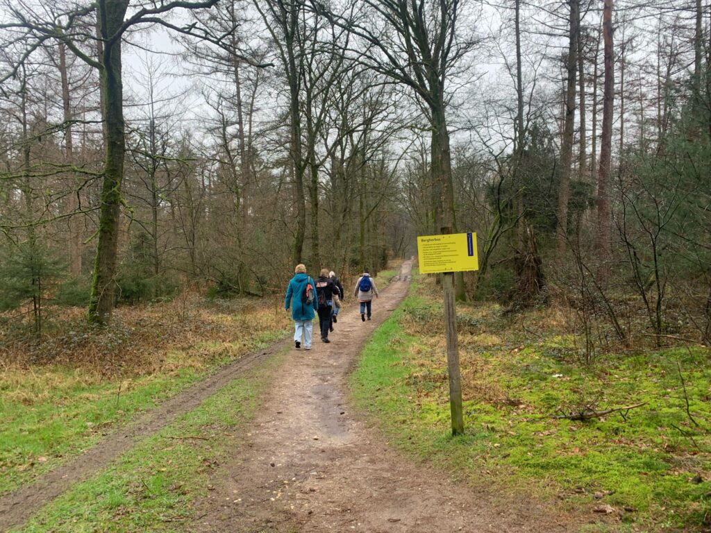 Wandelen in Ruurlo