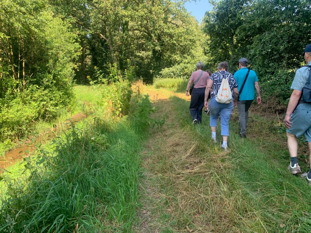 Beschermd: Wandelen Winterswijk