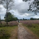 Thumbnail of 