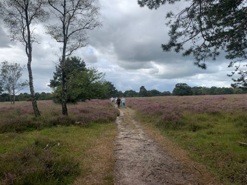 Wandelen Holterhoek